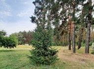 На отдых – дружным коллективом